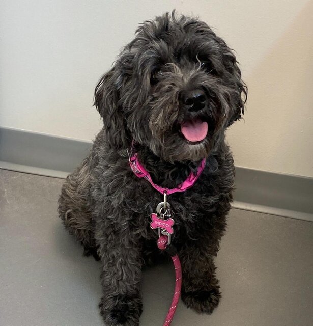 image3 (10)-1628723568 image3 (10)-1628723568